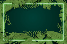 霓虹灯叶子背景