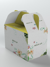 卡扣包装盒样机