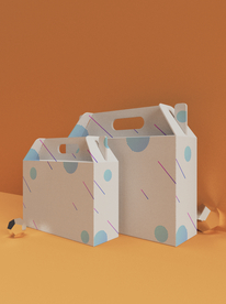 卡扣包装盒样机