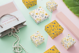 饰品盒包装样机