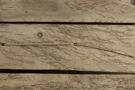 木纹