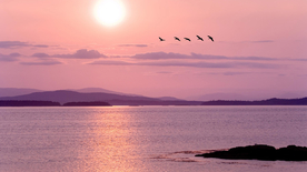 唯美夕阳天空云霞图片