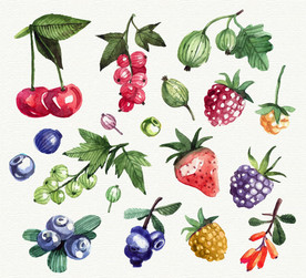 水彩水果