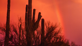 唯美晚霞日落图片