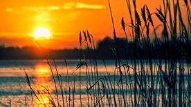 唯美晚霞日落图片