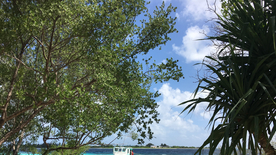 马尔代夫沙滩海岸图片