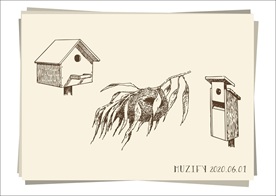 3款入鸟窝 素描画