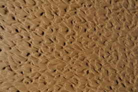 沙滩海滩海岸海滨图片