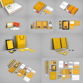 企业VI样机