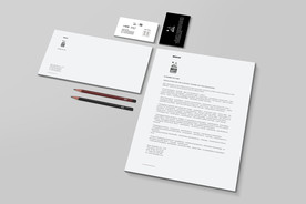 企业VI样机