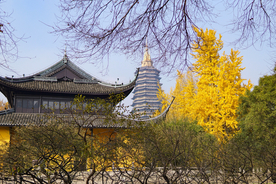 古代建筑园林里的银杏叶