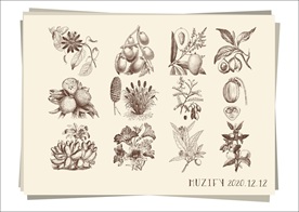 12款入水果素描画