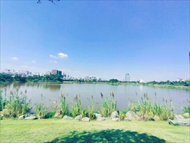 公园湖边
