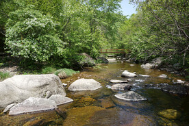 辽宁本溪老边沟山间的小溪和树林
