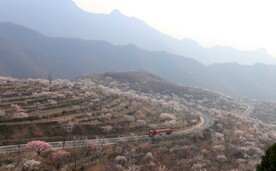 开往春天的卡车