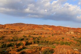 晨光里的蛤蟆坝