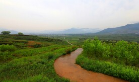 通往仙境的小路