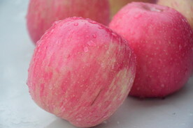 红富士苹果