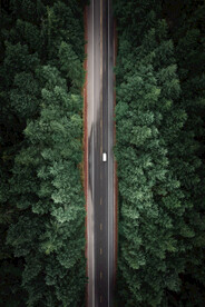 无人机摄影之穿越森林的汽车