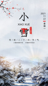 冬季小雪节气海报