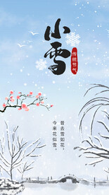 冬季小雪节气海报