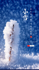 冬季小雪节气海报