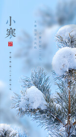 小寒节气海报