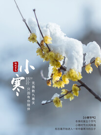 小寒节气海报