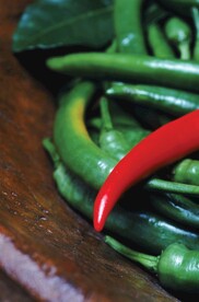 辣椒