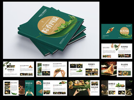 高端端午节画册