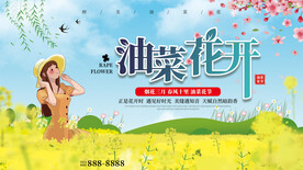 油菜花开