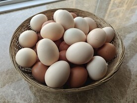 土鸡蛋