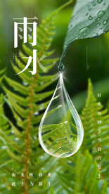 雨水节气海报 