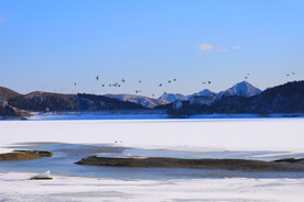 冰雪消融百鸟飞