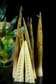 餐饮食材鲜竹笋摄影图