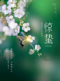 惊蛰海报 