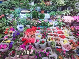 花市