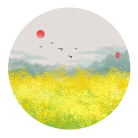 油菜花素材