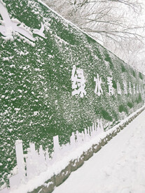 绿水青山就是金山银山