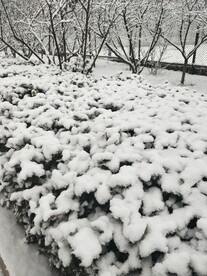 唐山环城水系冬景