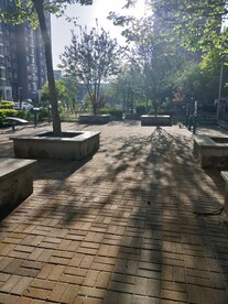 小区园林绿化 阳光