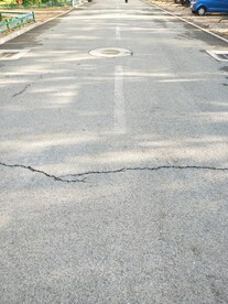 小区甬路 晨练 步行路