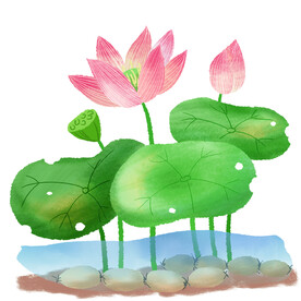 手绘小清新荷花