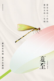 夏至节日节气海报