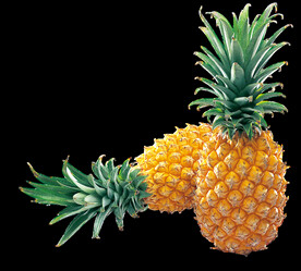 菠萝水果图片