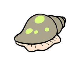 手绘海螺
