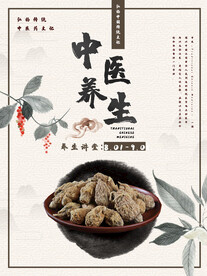 养生之道 山水墨国风 中医中药