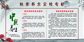 养生之道 山水墨国风 中医中药