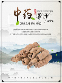 养生之道 山水墨国风 中医中药