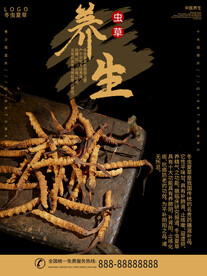 养生之道 山水墨国风 中医中药